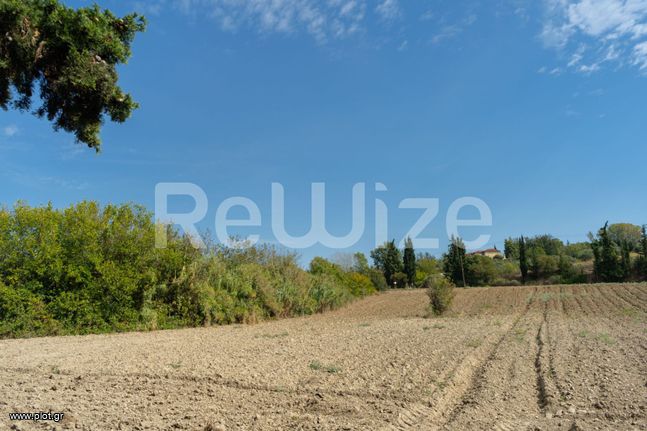Αγροτεμάχια 6.000 τ.μ. για πώληση, Χαλκιδική, Κασσάνδρα