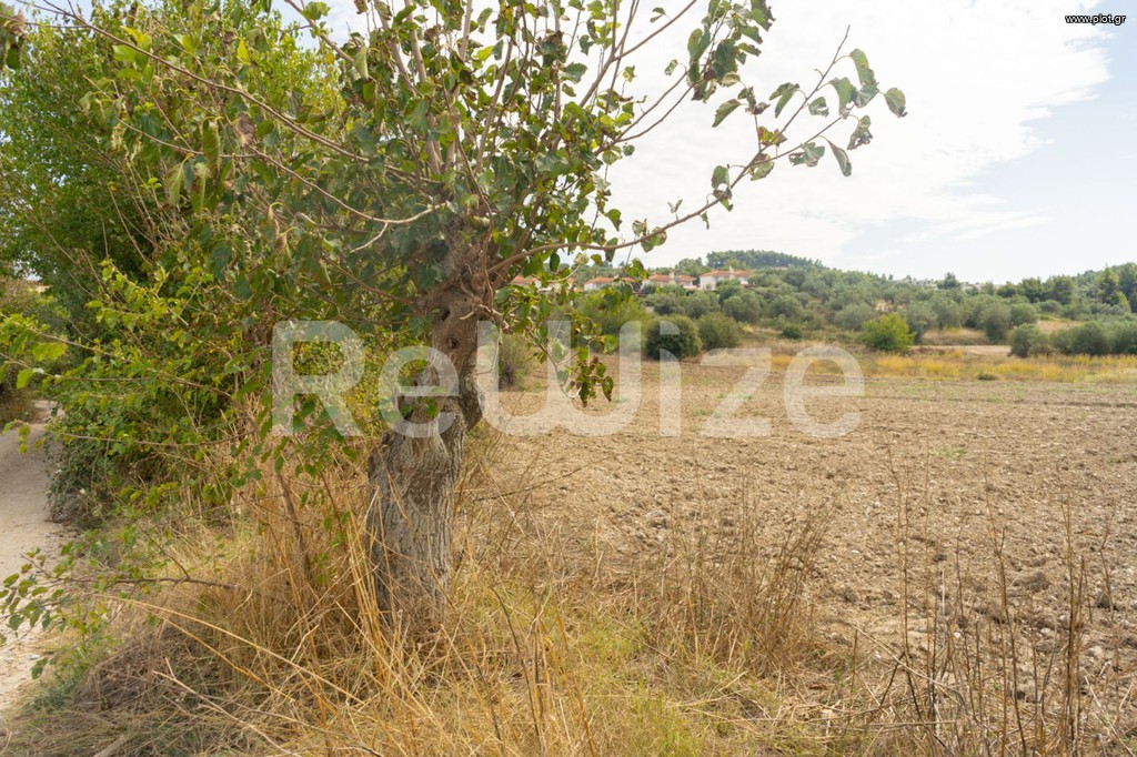 Αγροτεμάχια 6.000 τ.μ. προς πώληση, Καλάνδρα