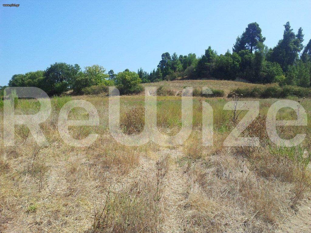 Αγροτεμάχια 8.016 τ.μ. προς πώληση, Κασσανδρηνό