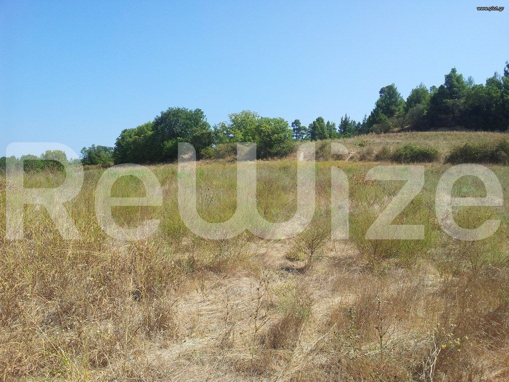 Αγροτεμάχια 8.016 τ.μ. προς πώληση, Κασσανδρηνό