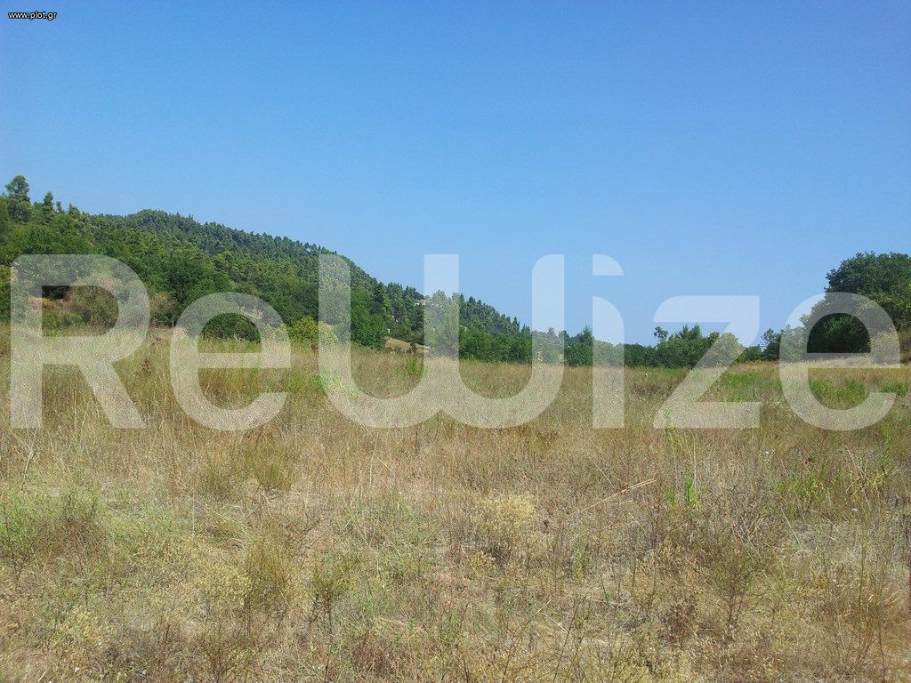 Αγροτεμάχια 8.016 τ.μ. προς πώληση, Κασσανδρηνό