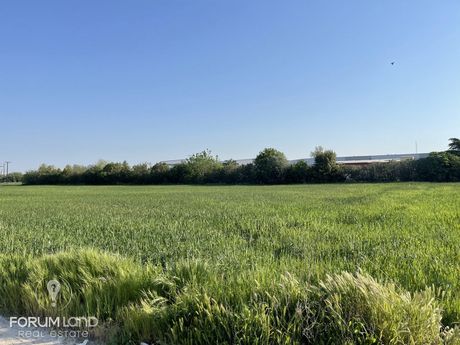 Αγροτεμάχια 7.000 τ.μ. για πώληση