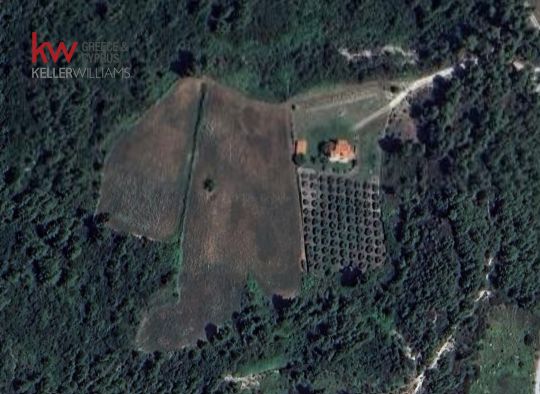 Αγροτεμάχια 4.590 τ.μ. για πώληση, Χαλκιδική, Παλλήνη