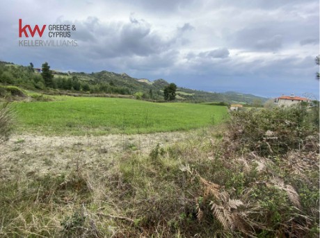 Αγροτεμάχια 4.590 τ.μ. προς πώληση, Αγία Παρασκευή Παλλήνης