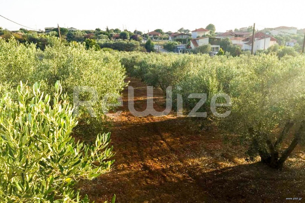 Αγροτεμάχια 3.000 τ.μ. προς πώληση, Νέα Ποτίδαια