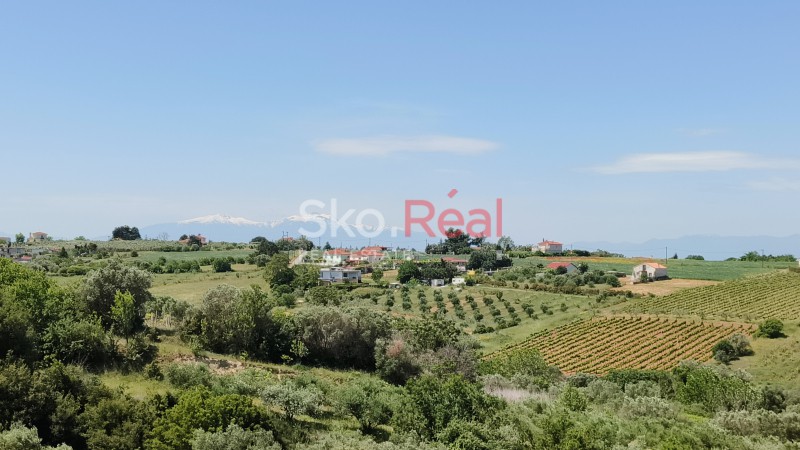 Μονοκατοικία 280 τ.μ. προς ενοικίαση, Αγία Τριάδα Θερμαϊκού