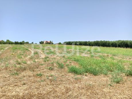 Αγροτεμάχια 4.262 τ.μ. προς πώληση