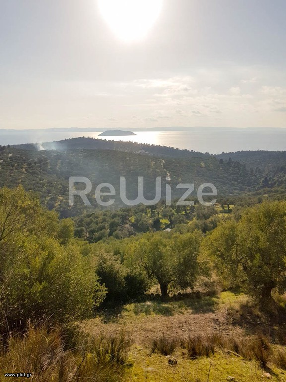 Αγροτεμάχια 8.500 τ.μ. προς πώληση, Παρθενώνας