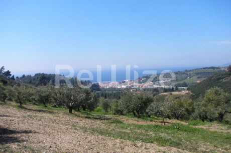 Αγροτεμάχια 4.995 τ.μ. προς πώληση