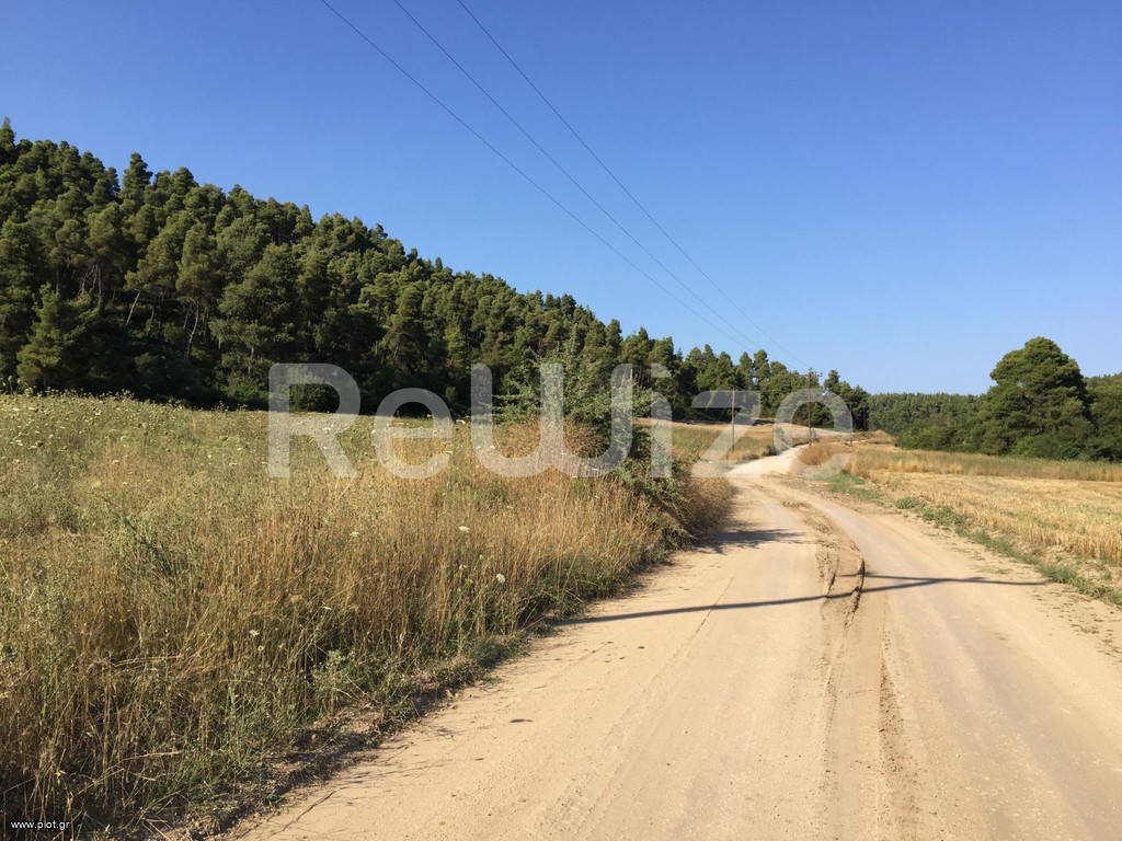 Αγροτεμάχια 4.500 τ.μ. προς πώληση, Ελάνη