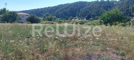 Οικόπεδο 1.000 τ.μ. προς πώληση
