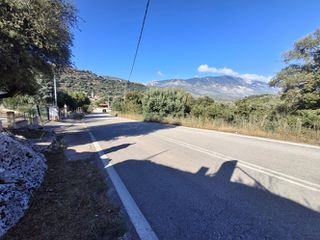 Αγροτεμάχια 7.775 τ.μ. για πώληση