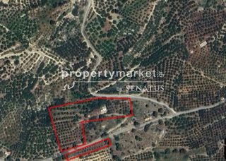 Αγροτεμάχια 11.250 τ.μ. για πώληση