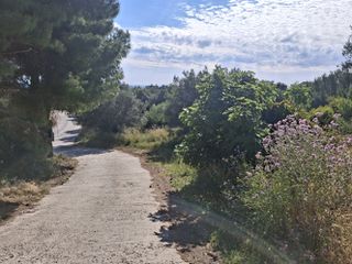 Αγροτεμάχια 5.585 τ.μ. για πώληση