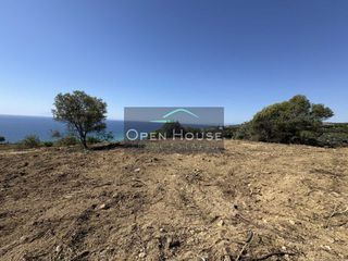 Οικόπεδο 6.250 τ.μ. για πώληση, Ν. Καβάλας, Ελευθερές-thumb-6