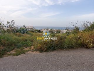 Αγροτεμάχια 1.200 τ.μ. για ενοικίαση