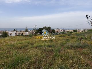 Αγροτεμάχια 1.200 τ.μ. για ενοικίαση, Ν. Ρεθύμνου, Ρέθυμνο-thumb-2