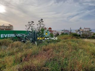 Αγροτεμάχια 1.200 τ.μ. για ενοικίαση, Ν. Ρεθύμνου, Ρέθυμνο-thumb-4