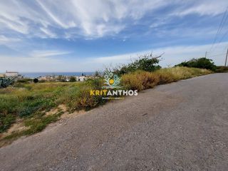 Αγροτεμάχια 1.200 τ.μ. για ενοικίαση, Ν. Ρεθύμνου, Ρέθυμνο-thumb-5
