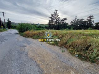Αγροτεμάχια 1.374 τ.μ. για ενοικίαση
