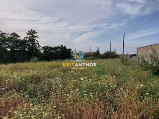 Αγροτεμάχια 1.374 τ.μ. για ενοικίαση, Ν. Ρεθύμνου, Ρέθυμνο-thumb-1