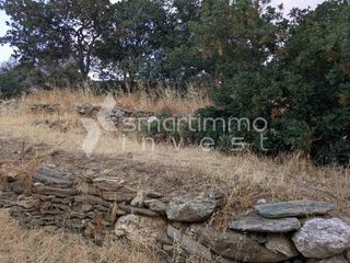 Οικόπεδο 1.100 τ.μ. για πώληση, Κυκλάδες, Άνδρος-thumb-8
