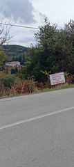 Αγροτεμάχια 7.000 τ.μ. για πώληση