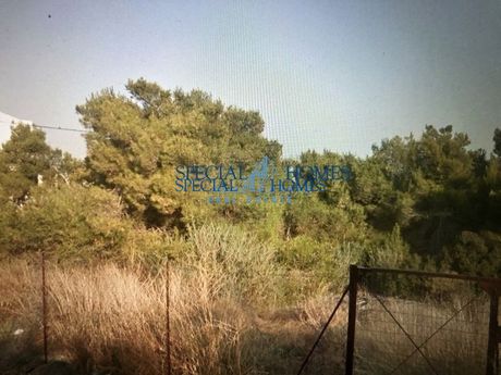 Οικόπεδο 241 τ.μ. για πώληση