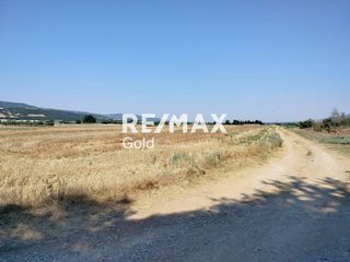 Αγροτεμάχια 20.000 τ.μ. προς πώληση