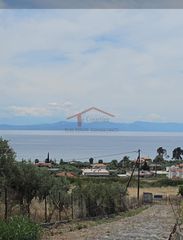 Οικόπεδο 6.000 τ.μ. για πώληση, Εύβοια, Λίμνη-thumb-2