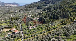 Αγροτεμάχια 5.011 τ.μ. για πώληση