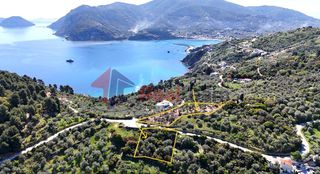 Αγροτεμάχια 6.295 τ.μ. για πώληση
