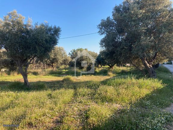 Parcel 4.300 sqm for sale, Athens - East, Koropi