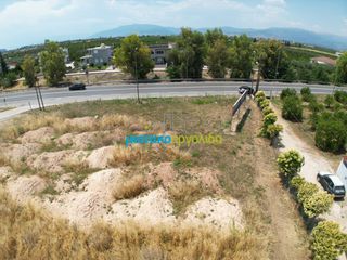 Οικόπεδο 1.619 τ.μ. για ενοικίαση, Αργολίδα, Άργος-thumb-4