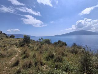 Αγροτεμάχια 65.000 τ.μ. για πώληση