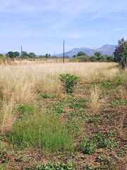 Parcel 2.500 sqm for rent, Argolis, Midea-thumb-2