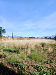 Parcel 2.500 sqm for rent, Argolis, Midea-thumb-1