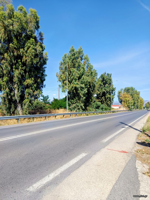 Αγροτεμάχια 2.500 τ.μ. για ενοικίαση, Αργολίδα, Μιδέα