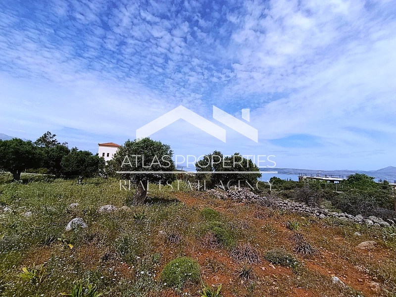 Οικόπεδο 2.900 τ.μ. προς πώληση, Κόκκινο Χωριό