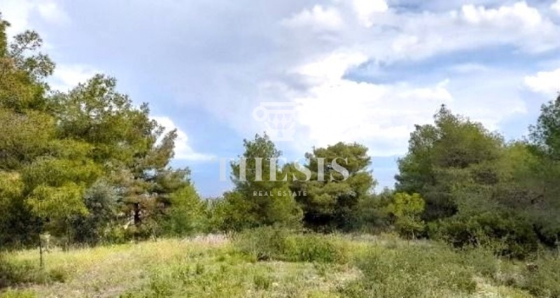 Οικόπεδο 1.036 τ.μ. προς πώληση, Φθιώτιδας, Μαλεσίνα