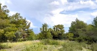 Οικόπεδο 1.036 τ.μ. για πώληση