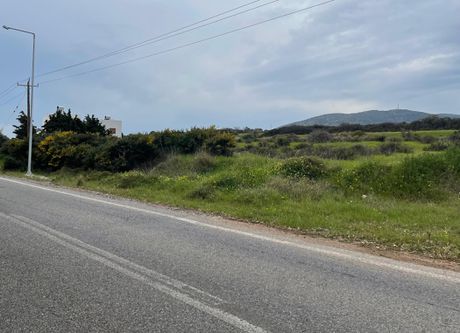 Αγροτεμάχια 9.543 τ.μ. για πώληση