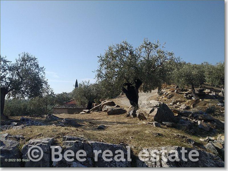 Μονοκατοικία 75 τ.μ. πρός πώληση, Μαγνησία, Μηλιές