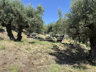 Οικόπεδο 3.180 τ.μ. για πώληση, Ζάκυνθος, Περιοχη Χώρας-thumb-6