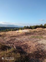 Οικόπεδο 9.310 τ.μ. για πώληση