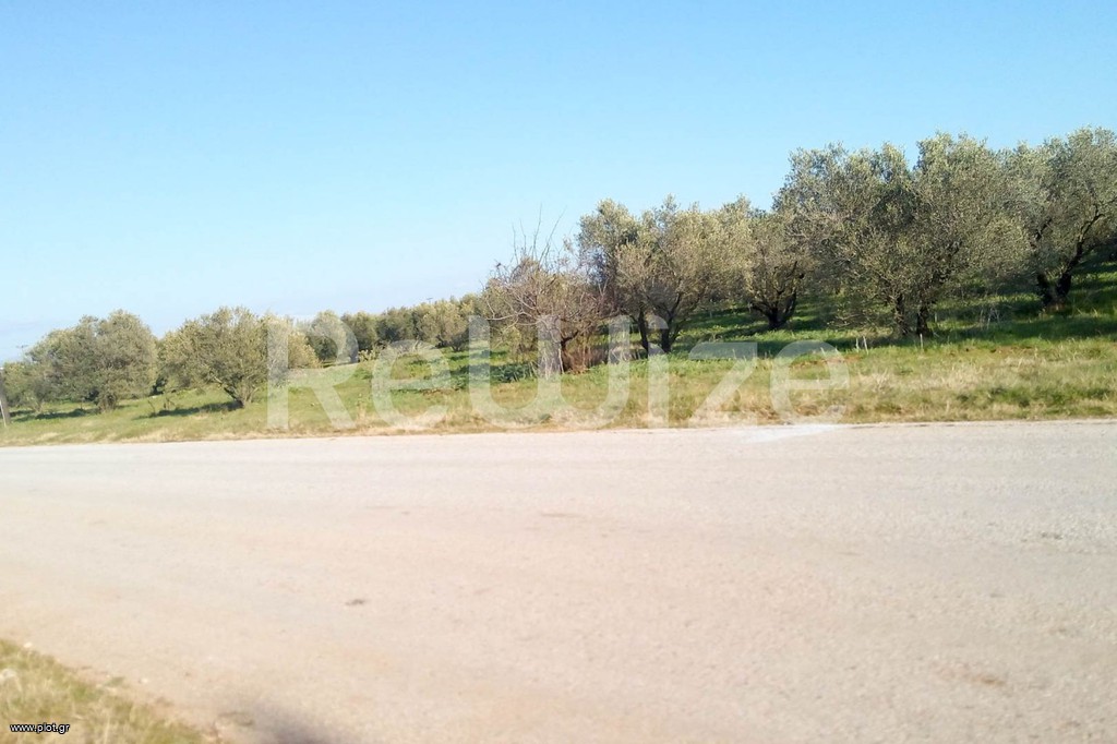 Αγροτεμάχια 5.000 τ.μ. προς πώληση, Παραλία Διονυσίου