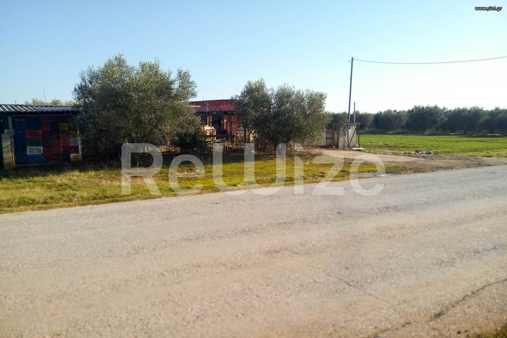 Αγροτεμάχια 5.000 τ.μ. προς πώληση, Παραλία Διονυσίου