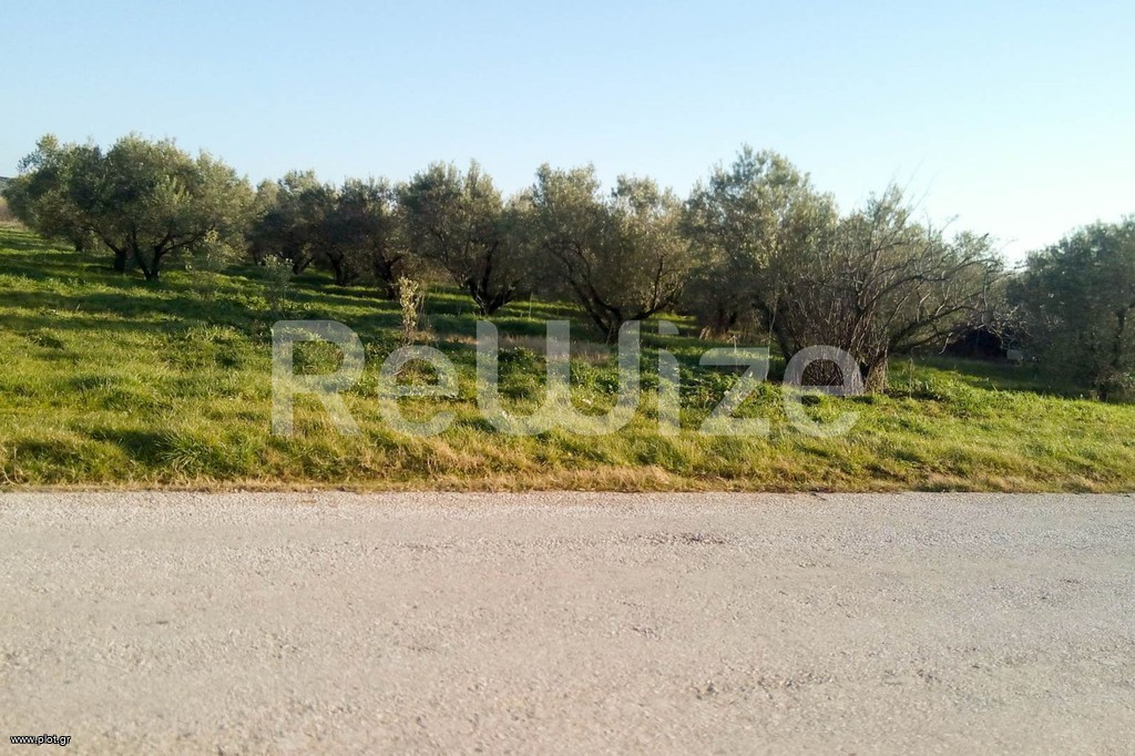 Αγροτεμάχια 5.000 τ.μ. προς πώληση, Παραλία Διονυσίου