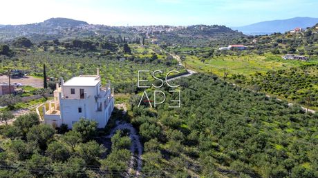 Detached home 399 sqm for sale