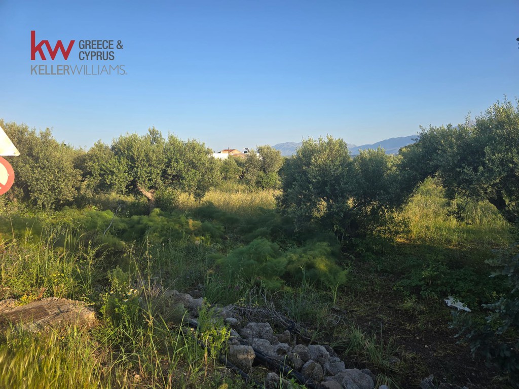 Land plot 3.054 sqm for rent, Chania Prefecture, Akrotiri